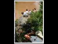 Click to view Fullsize Image