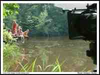 Click to view Fullsize Image